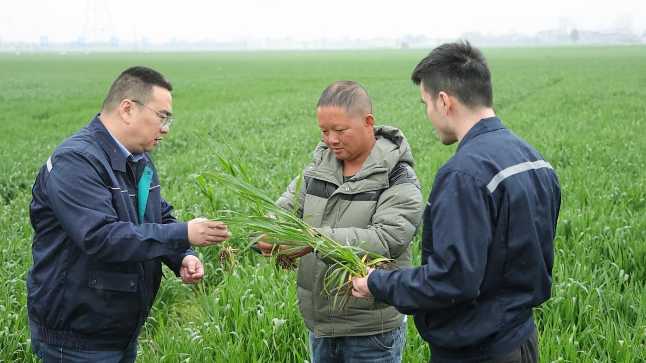 “下沉”春耕一線，按下安徽廬江鄉(xiāng)村振興“加速鍵”